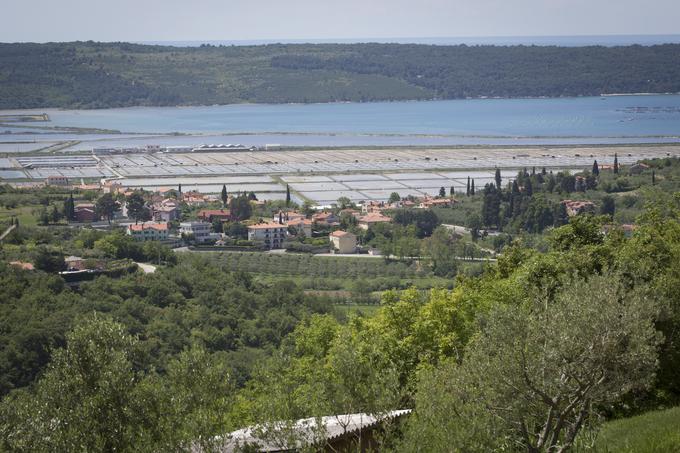 Krajinski park Sečoveljske soline | Foto: Bojan Puhek