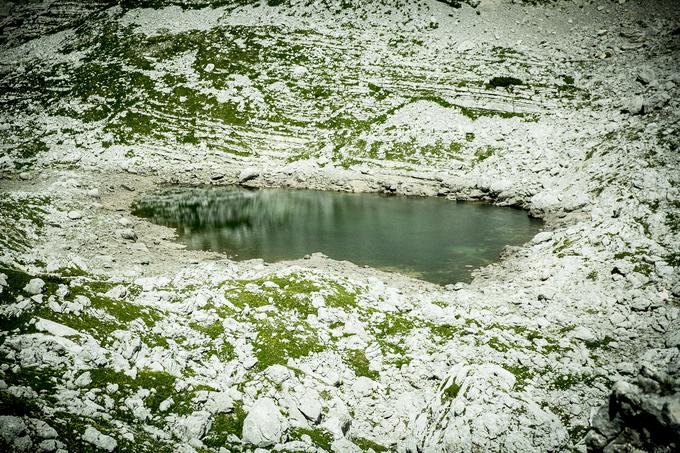 Pot na Zasavsko kočo na Prehodavcih (Prehodavci) | Foto: Ana Kovač