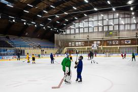 hokejska akademija Anže Kopitar Tomaž Razingar