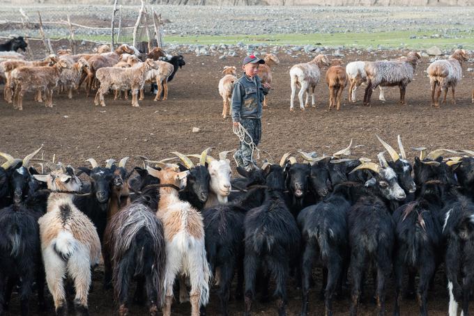 Spoznal je tudi Kazake v Mongoliji. | Foto: Tadej Bolta