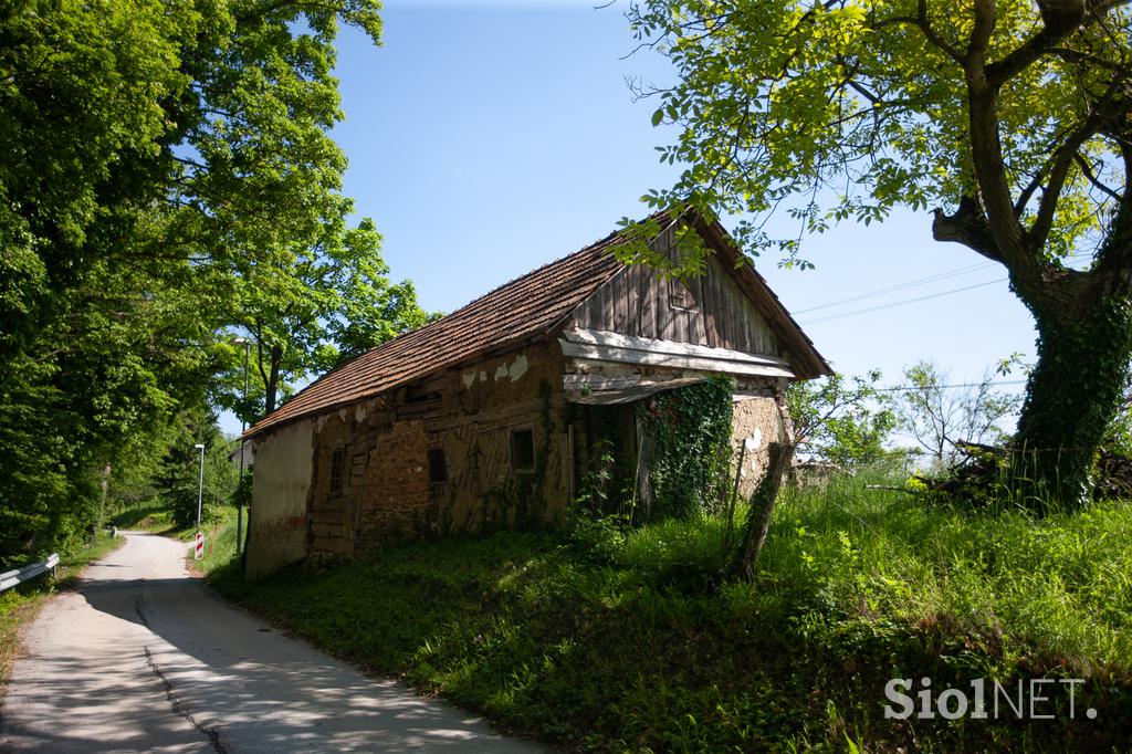 Ekološka kmetija Valentan Vodole Malečnik vino vinograd