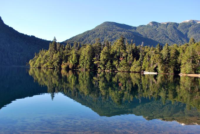 Nacionalni park Los Alerces na severu argentinskega dela Patagonije | Foto: Ricardo Villalba (unesco.org)