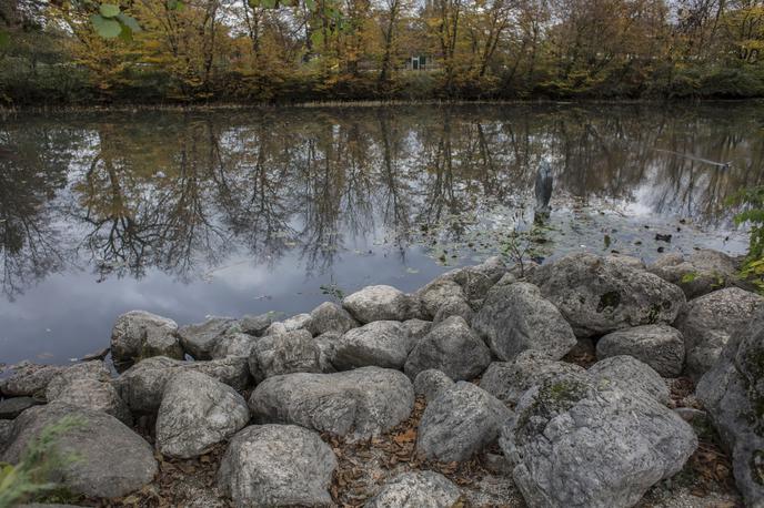 Ribnik Tivoli bajer | Informacije o tem, kdo in od kod je bil moški, niso znane. Fotografija je simbolična.   | Foto Matej Leskovšek