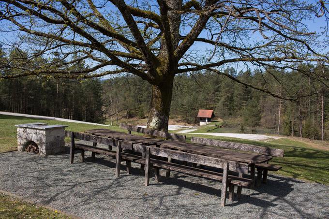 V lovišču, kamor vas pelje revirni lovec, je kar nekaj zelo prijetnih kotičkov za piknik. | Foto: 