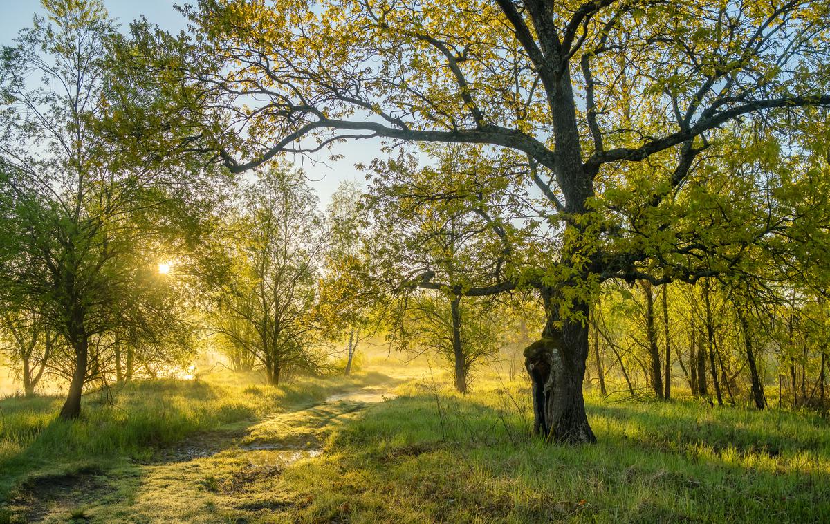 Sonce. Vreme. Pomlad. Hribi. | Foto Shutterstock