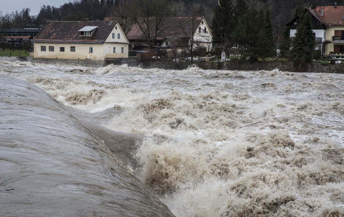 Narasla reka Sava v Tacnu. | Foto Bojan Puhek