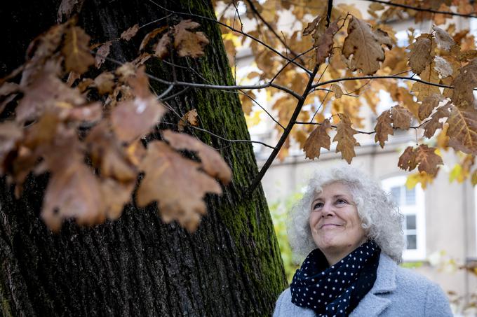 "Vemo na primer, da je drevo z velikim razponom krošnje in velikim številom manjših listov bistveno bolj koristno kot drevo, ki ima stebrasto krošnjo in malo velikih listov, saj je listna masa bistvena. Imamo veliko malih, likovno sicer zanimivih dreves, ki se jih nenehno reže, a imamo od njih majhne koristi," pojasnjuje krajinska arhitektka. | Foto: Ana Kovač