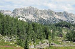 Tura po bohinjskih planinah do Triglavskih jezer