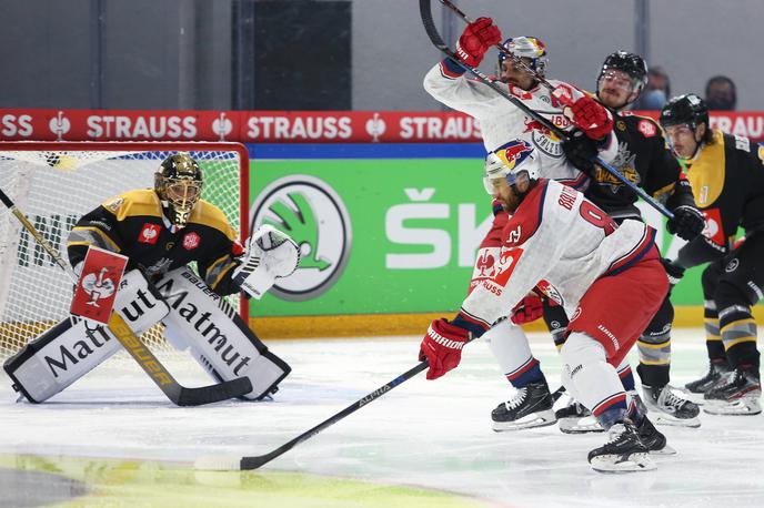 Matija Pintarič Rouen | Matija Pintarič je s soigralci Rouena uspešno opravil prvi del osmine finala lige prvakov, Salzburg so premagali s 3:0. | Foto Guliverimage