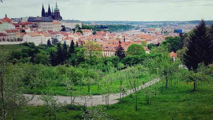 "Kadarkoli le utegnem, največkrat so to konci tedna, zelo rada raziskujem in obiskujem tudi druge kotičke države. Povezave so precej dobre, težava so le kilometri oddaljenosti." | Foto: osebni arhiv/Lana Kokl