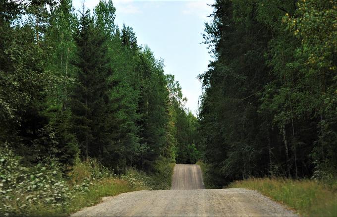 Ouninpohja cesta | Foto: Gregor Pavšič