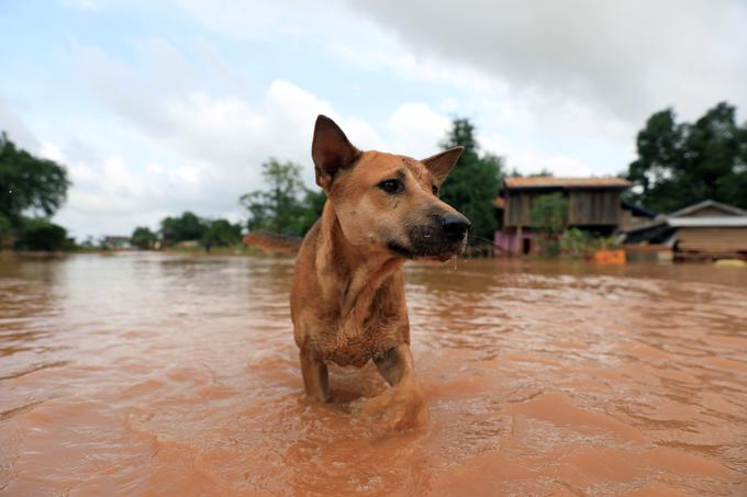 Laos | Foto: Reuters