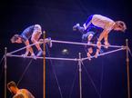 Cirque du Solei Corteo vaja