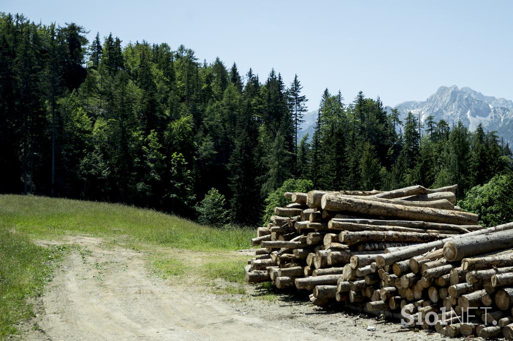 Izletniška kmetija Klemenšek Logarska dolina