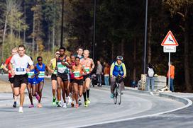 Ljubljanski maraton 2017