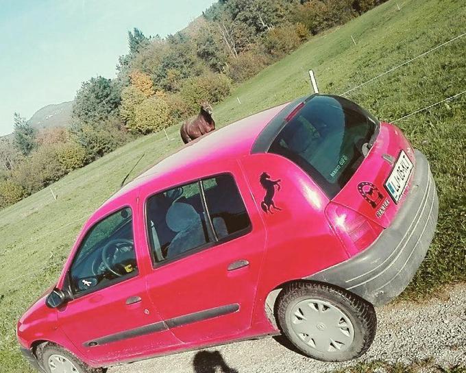 Renault clio | Foto: PU Novo mesto