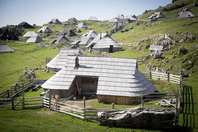 Velika Planina | Foto: Ana Kovač