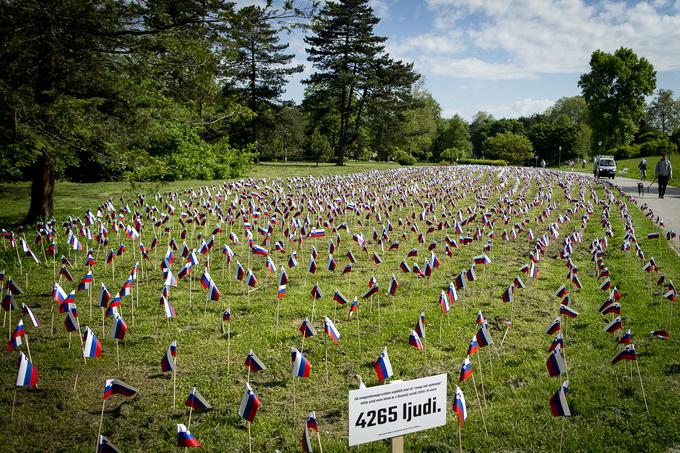 Povprečna starost ob smrti covidnih bolnikov je bila v letu 2020 pri ženskah 85,60, pri moških 80,41 leta. Na fotografiji ljubljanski park Tivoli, kjer se je ponoči 1. junija 2021 pojavilo 4.265 slovenskih zastavic, v spomin na ljudi, ki so umrli za boleznijo covid-19. | Foto: Ana Kovač