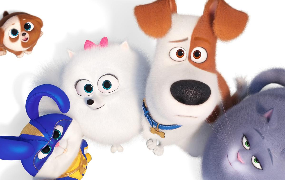 Skrivno življenje hišnih ljubljenčkov 2 | The Secret Life of Pets 2 © 2019 Universal Pictures. All Rights Reserved.