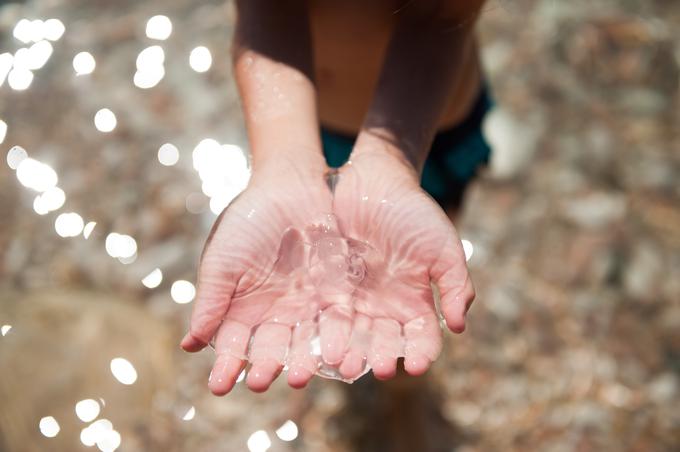 meduza | Foto: Shutterstock