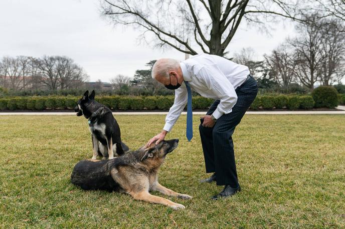 Biden | "To je dobra novica za Američane," je od podpisu zakona dejal predsednik ZDA Joe Biden. | Foto Guliverimage