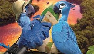 RIO 2