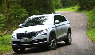 Test: Je novi škoda kodiaq upravičeno obnorel Slovence? #foto