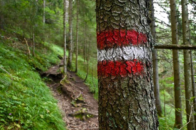 Pot navzgor je lepo markirana. | Foto: Matej Podgoršek