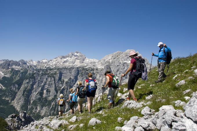 Intersport pohodniške palice | Foto: 