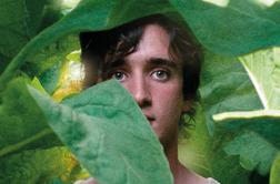 Srečen kot Lazzaro (Lazzaro felice/Happy as Lazzaro)