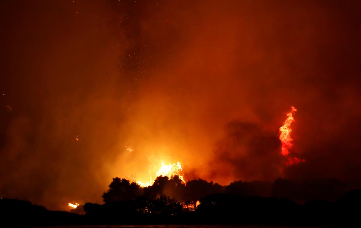 požar | Foto Reuters