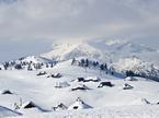 Velika planina