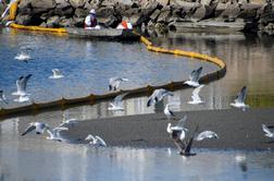 Sanjske plaže se spreminjajo v črno grožnjo #video #foto