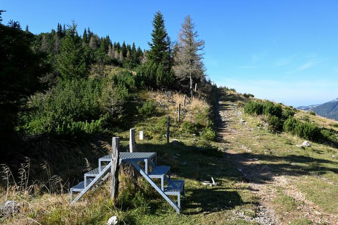 Za tablo Plešivec prestopimo pašno ograjo s pomočjo teh stopničk. | Foto: Matej Podgoršek