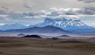 Islandija v boju za drevesa, ki so jih posekali Vikingi