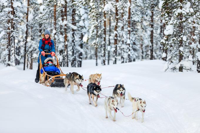 Vožnja na saneh s pasjo vprego po idilično zasneženi pokrajini | Foto: Shutterstock