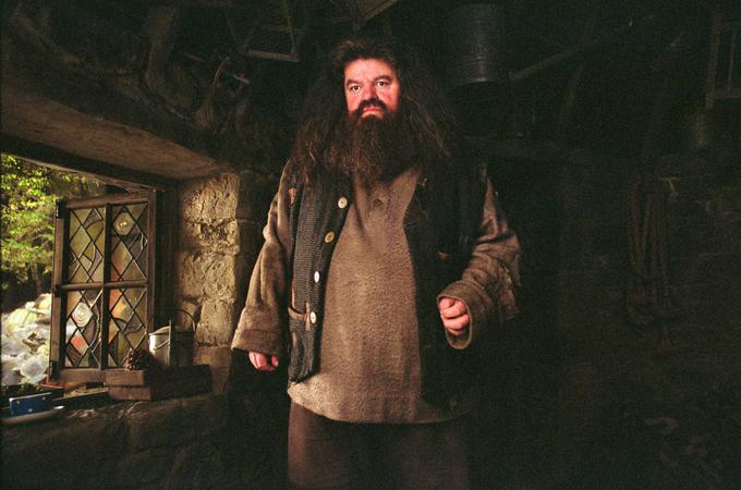 Vlogo je na željo Rowlingove dobil Robbie Coltrane. | Foto: IMDb