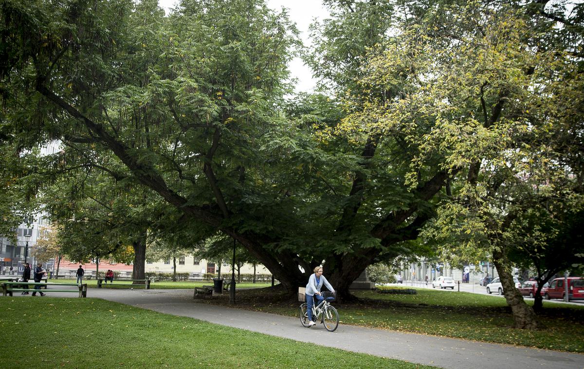 Miklošičev park | Foto Ana Kovač