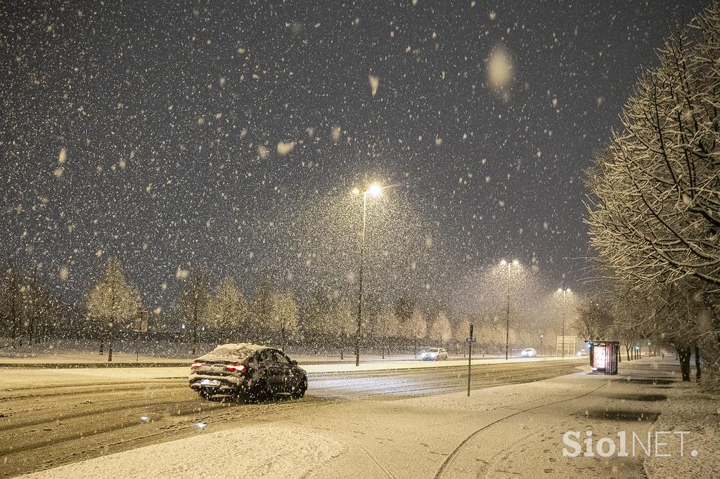 Sneg v Ljubljani