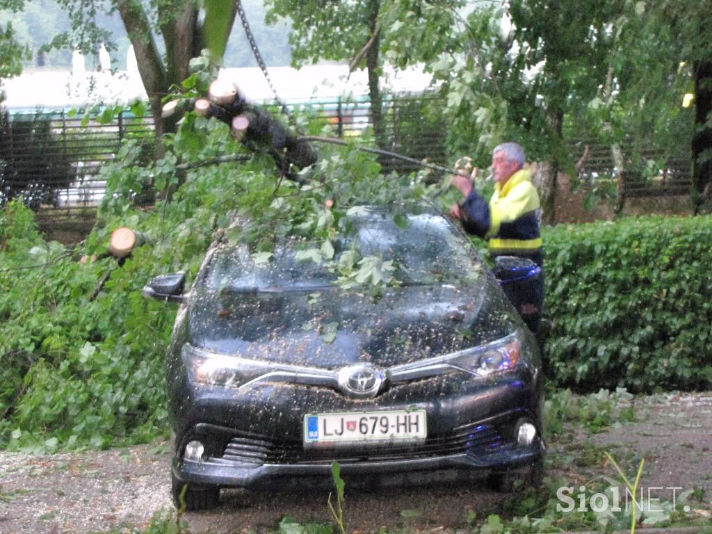 Posledice neurja na Dolenjskem