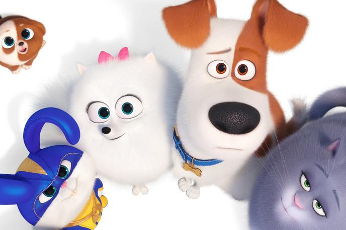 Skrivno življenje hišnih ljubljenčkov 2 | The Secret Life of Pets 2 © 2019 Universal Pictures. All Rights Reserved.