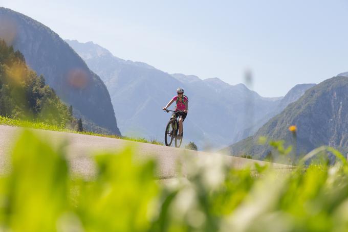 kolesarjenje | Foto: Shutterstock