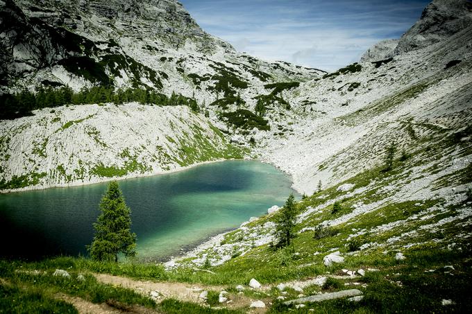 Pot na Zasavsko kočo na Prehodavcih (Prehodavci) | Foto: Ana Kovač