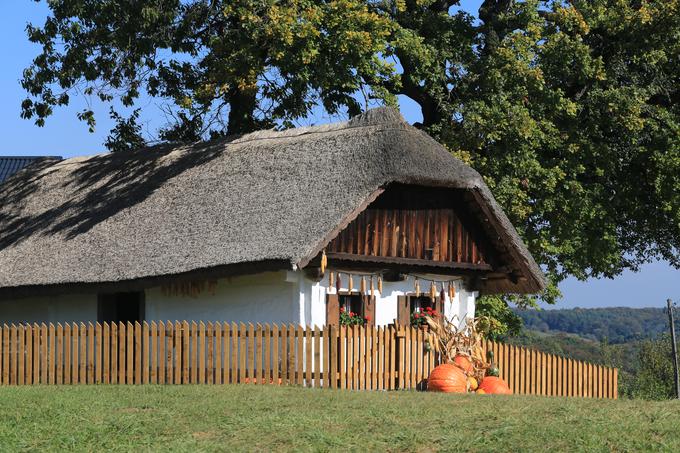  | Foto: Damjan Prelovšek / Mesec oblikovanja