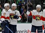 Florida Panthers