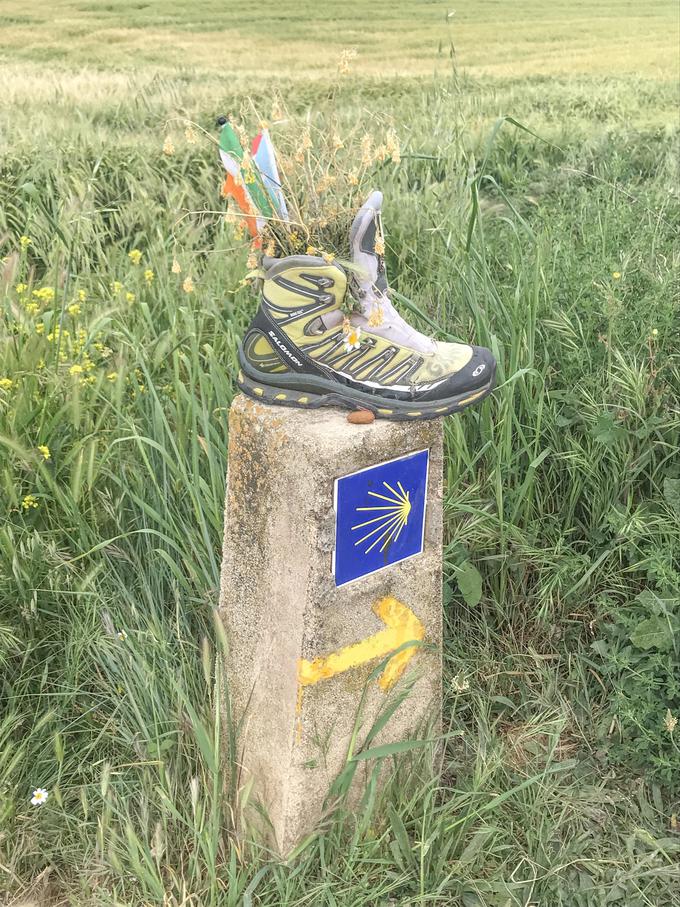 Oznake na miljnih kamnih, ki označujejo Jakobovo pot. Školjka je v srednjem veku pomenila opravljeno romanje v Compostelo in so si jo romarji s ponosom pripenjali na oblačila ali vgrajevali v hišne zidove. Ohranila se je kot simbol Jakobove poti, ki se uporablja še danes. (Vir: Wikipedia). | Foto: osebni arhiv/Lana Kokl