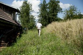 Turistična ekološka kmetija Čemas Vinica Zilje Bela Krajina Kolpa