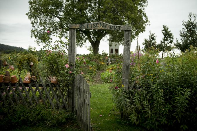 Na zeliščnem vrtu gostom pokažejo botanično zbirko okoli 70 zelišč.  | Foto: Ana Kovač