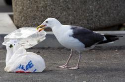 Ankaran želi postati poskusna občina brez plastičnih vrečk