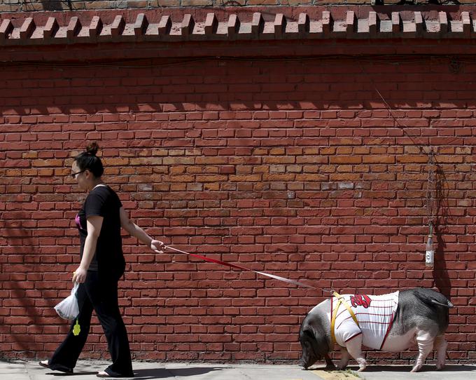 Peking, Kitajska | Foto: Reuters